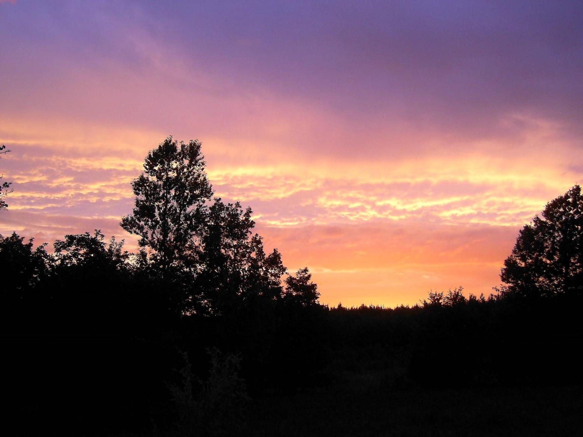 Ferienwohnung In Der "Perle Der Lausitz" ชเปรมแบร์ก ภายนอก รูปภาพ